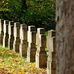 DSC 8650 Herbst
