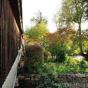 DSC 8681 Buchfahrt