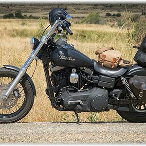 hog