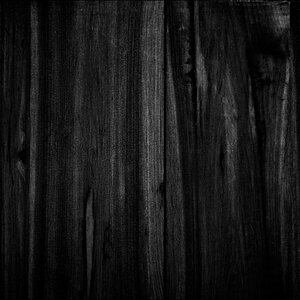 L1009515
