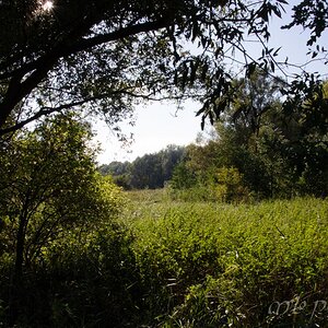 DSC 0636