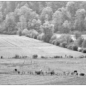 Nikkor PZ14453