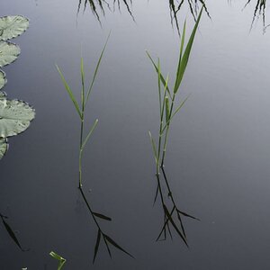 20120601 DSC 0402