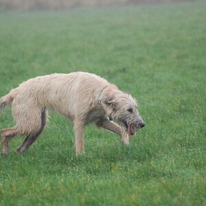 Merle 17.11.13 022