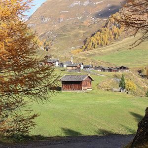 Vals Iris 251013 20