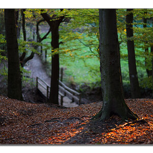 restlicht1