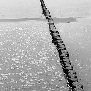 Nikon Treffen Usedom 2013 1037386