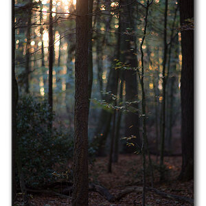 restlicht13