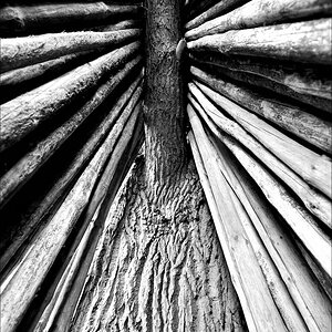aacomp usedom 20131101 0054