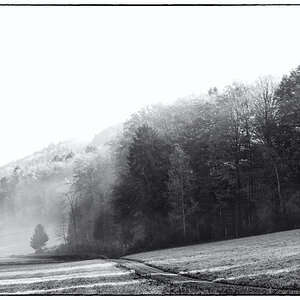 Herbst PZ14652