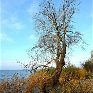 aacomp usedom 20131101 0156