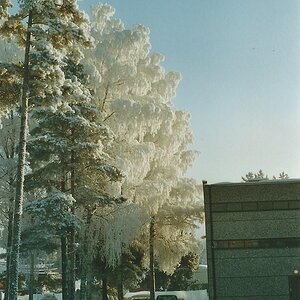Winter