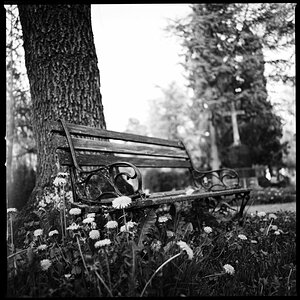 Friedhof RT