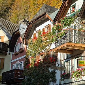 2131021 71K 0581 Häuser Hallstatt 1080