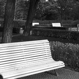 Nikon Treffen Usedom 2013 1036997