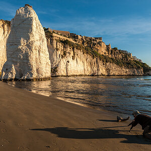 13 10 18 07545584 web