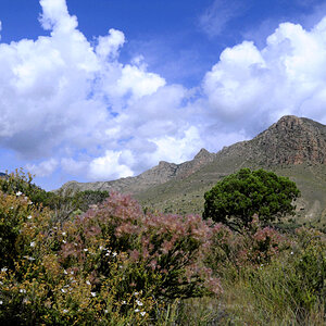 HED3633Guadeloupe National Park3