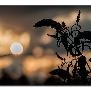 Licht Schatten