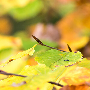 20131025  DSC4145