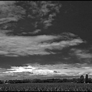 Wolken