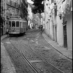 Lissabon, meine Liebe