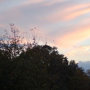 Herbst 2