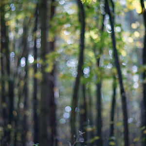herbst1