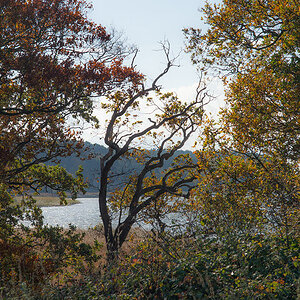 herbst5