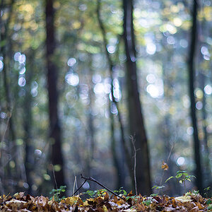 herbst7