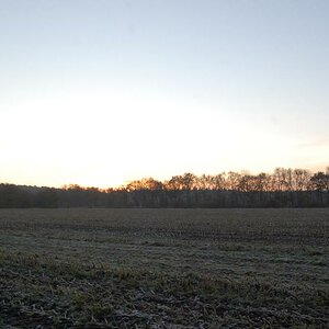 ohne text 063