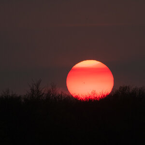 20130504  DSC4334
Sonnenuntergang im Frühjahr, mich haben die Sonnenflecken begeistert