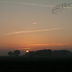 20121115  DSC2401
Irgendwann morgens, als ich die Kinder zur Schule brachte
