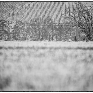 Schnee PZ14843