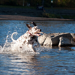 20131028 1683 Baden an der HuWi