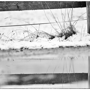 Schnee PZ14852