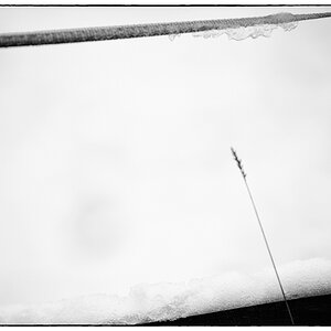 Schnee PZ14853