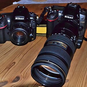 D800 vs D7000
