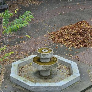 Herbst 01
