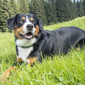 Freundlich und selbstbewußt