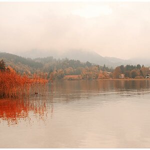 Tegernsee web