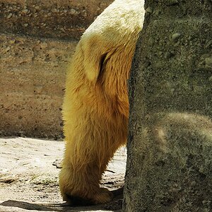 DSC 8969
