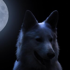 moon lucky
