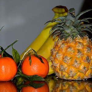 DSC 6478