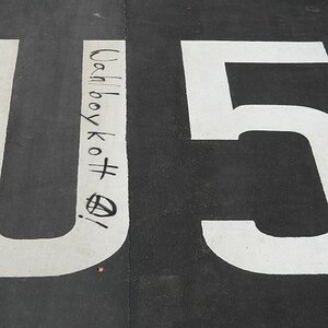 DSC 1031