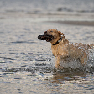 sina im meer