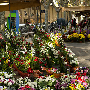 tienda flores