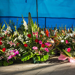 flores