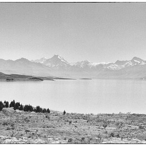 NeuUntitled (31)