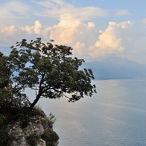 Gardasee