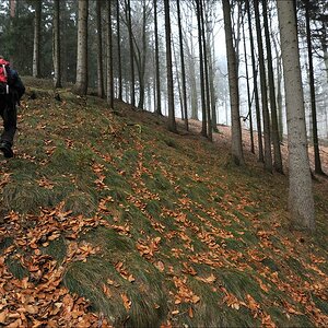 aacomp hamburgerberge9 0096